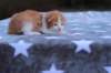 emmanuelboyd0324232_small.jpg