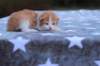 emmanuelboyd0324233_small.jpg