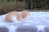 emmanuelboyd0324236_small.jpg