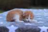 emmanuelboyd0324237_small.jpg