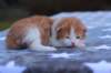 emmanuelboyd0324238_small.jpg