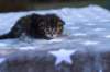 ephratahgirlsibf2219_small.jpg