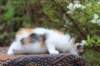 eden4weeks56136_small.jpg