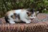 eden4weeks5668_small.jpg