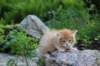 eliazarboy5weeks13653_small.jpg
