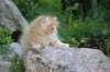 eliazarboy5weeks13658_small.jpg