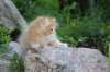 eliazarboy5weeks13659_small.jpg