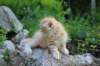 eliazarboy5weeks13664_small.jpg