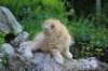eliazarboy5weeks13665_small.jpg