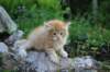 eliazarboy5weeks13666_small.jpg