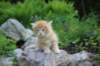eliazarboy5weeks13667_small.jpg