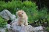 eliazarboy5weeks13668_small.jpg