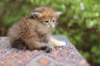 eliphai4weeks5636_small.jpg