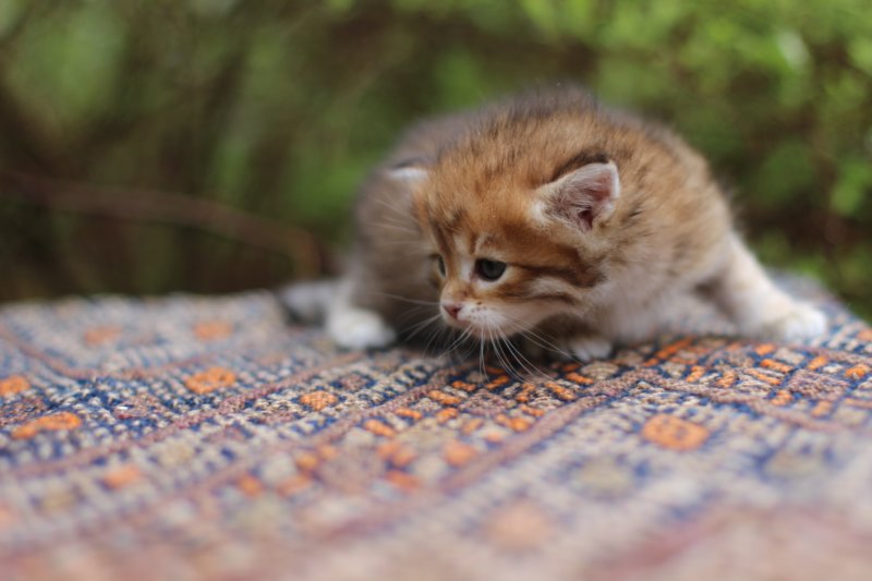 eliphai4weeks5645.jpg