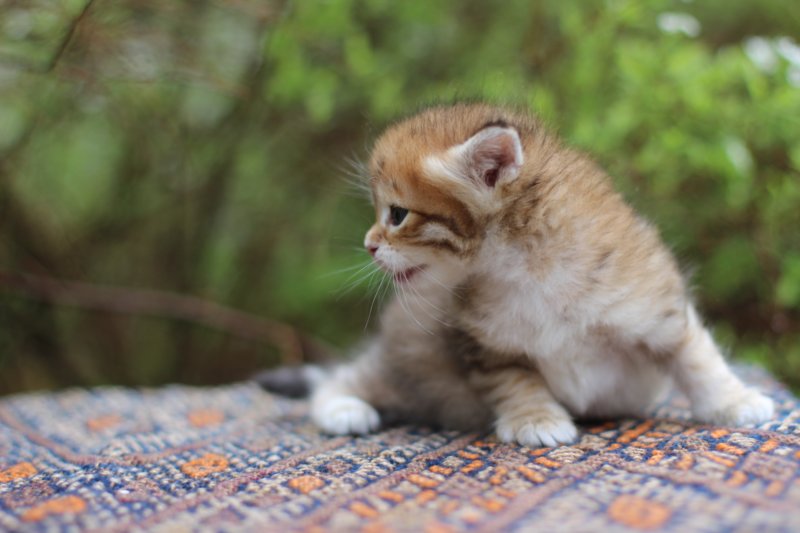 eliphai4weeks5647.jpg