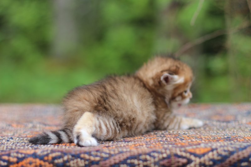 eliphai4weeks567.jpg
