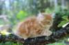 enoch115viikkoa27758_small.jpg