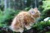 enoch115viikkoa27779_small.jpg