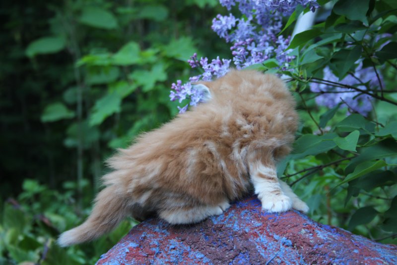enochboy5weeks13614.jpg