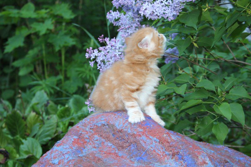 enochboy5weeks13662.jpg