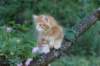 enochboy7weeks2867_small.jpg