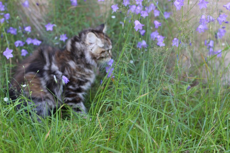 ephratah115weeks27713.jpg