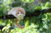 esaias115viikkoa27781_small.jpg