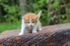 esaias4weeks566_small.jpg