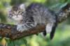 eshtergirl7weeks2861_small.jpg