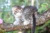 eshtergirl7weeks28637_small.jpg