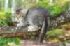eshtergirl7weeks28639_small.jpg