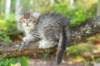 eshtergirl7weeks28640_small.jpg