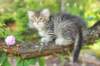 eshtergirl7weeks28644_small.jpg