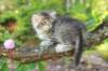 eshtergirl7weeks28646_small.jpg