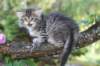 eshtergirl7weeks28651_small.jpg