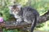 eshtergirl7weeks28652_small.jpg