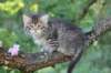eshtergirl7weeks28655_small.jpg