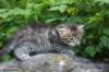 esthergirl5weeks13636_small.jpg