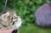 esthergirl5weeks13669_small.jpg