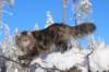 ephratah9months9221_small.jpg