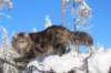 ephratah9months9223_small.jpg