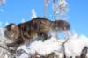 ephratah9months9224_small.jpg