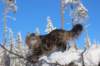 ephratah9months9229_small.jpg