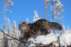 ephratah9months9230_small.jpg