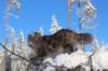 ephratah9months9231_small.jpg