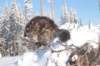 ephratah9months9232_small.jpg