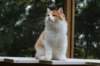 esaiasakaemppu4kk10vrk199128_small.jpg