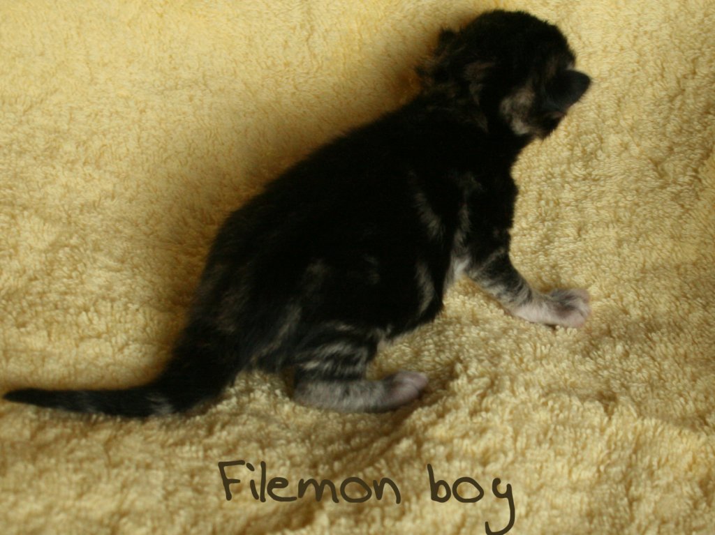 filemonboy6.jpg
