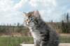 Photo Number 13