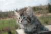 Photo Number 7